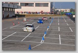 raci_091.jpg